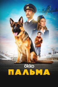 Смотреть Пальма онлайн в HD качестве 720p
