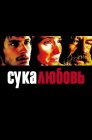 Смотреть Сука-любовь онлайн в HD качестве 