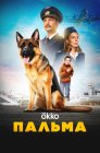 Смотреть Пальма онлайн в HD качестве 