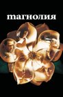 Смотреть Магнолия онлайн в HD качестве 